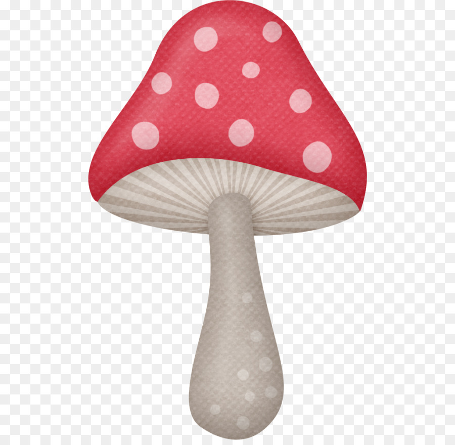 900x880 Drawing Fungus Animation Photography