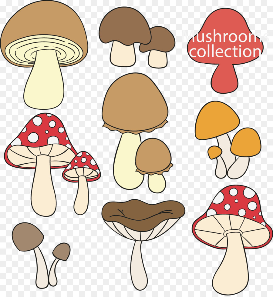 900x980 Edible Mushroom Fungus Drawing