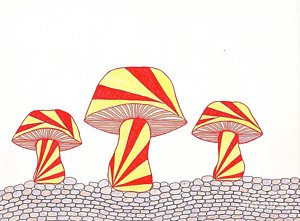 300x221 Fungus Drawings