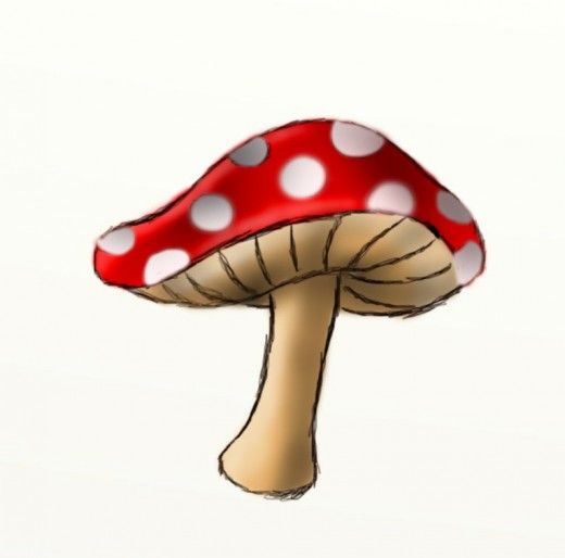 520x514 How To Draw A Mushroom Mushrooms, Doodles And Drawings