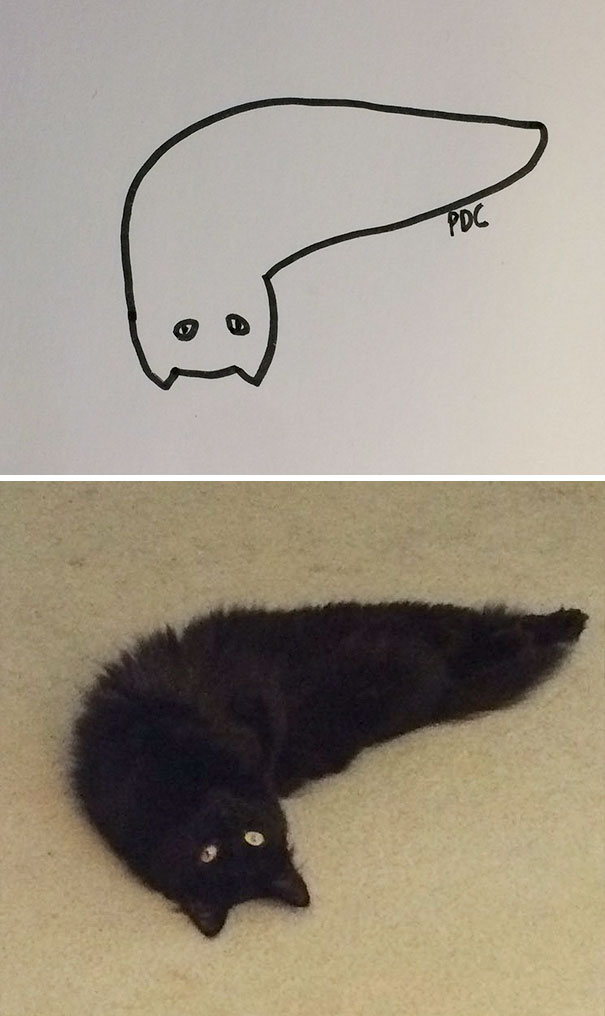 605x1016 When Your Teacher Keeps Saying You Can'T Draw Cats, But Your