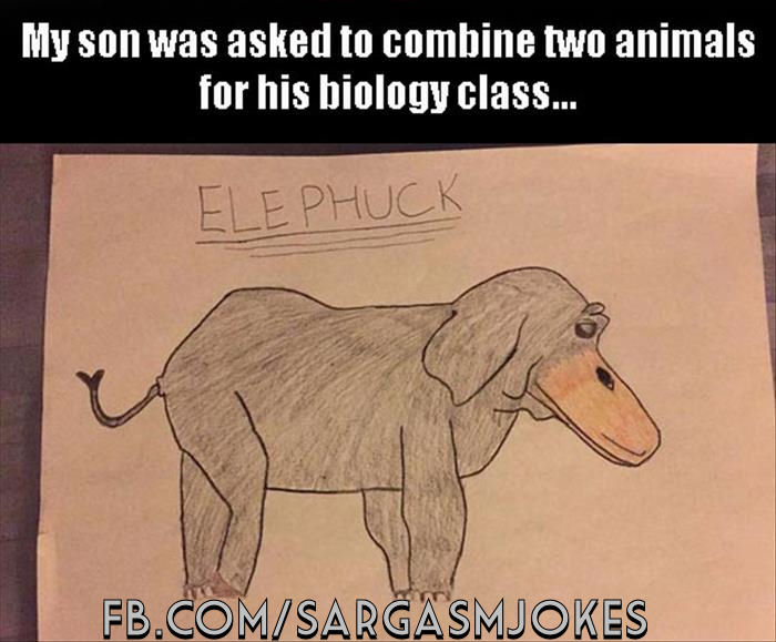 700x579 Funny Drawing Elephant Duck Mix Sargasm