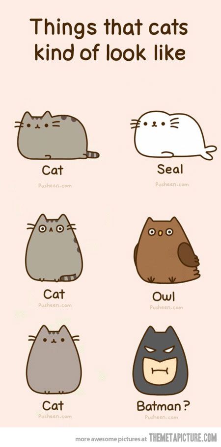 450x912 Drawings Of Cute Things Things That Cats Kind Of Look Like