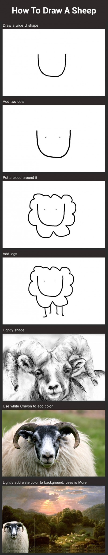 461x2353 Drawing A Sheep
