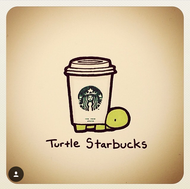 640x637 Turtlewayne Turtles Turtle, Drawings And Doodles