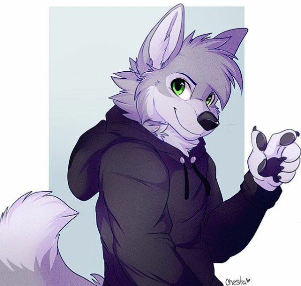 Furry Wolf Drawing at GetDrawings | Free download
