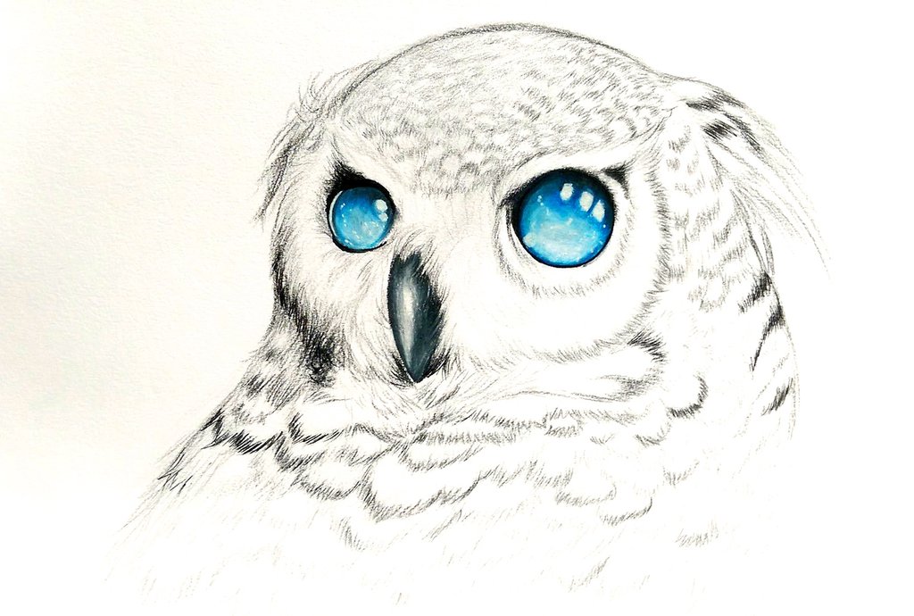 1024x690 Zeus With The Galaxy Eyes By Travelingartist93