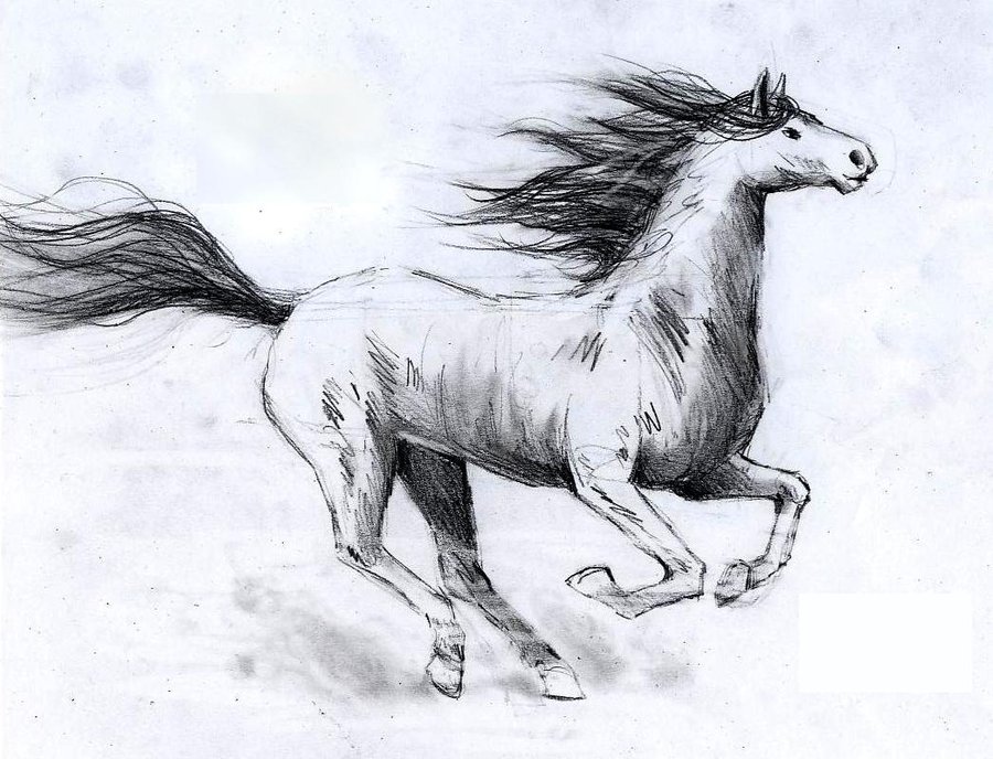 900x688 Galloping Horse By Rosemermaid10