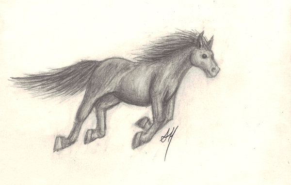600x383 Galloping Horse By Wyvernflames