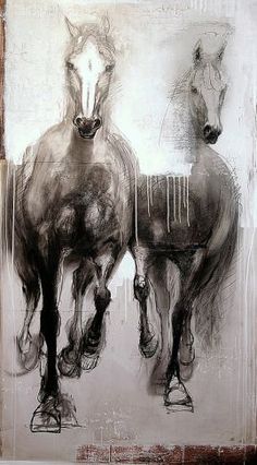 236x426 Galloping Horse Rough Sketches