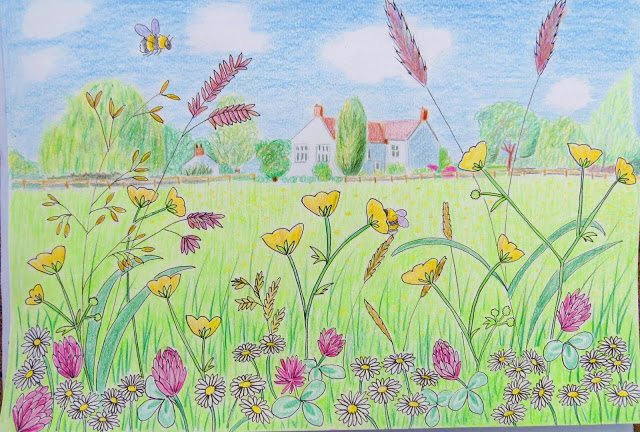 640x432 Bunny Mummy This Weeks Drawing .summer Fields