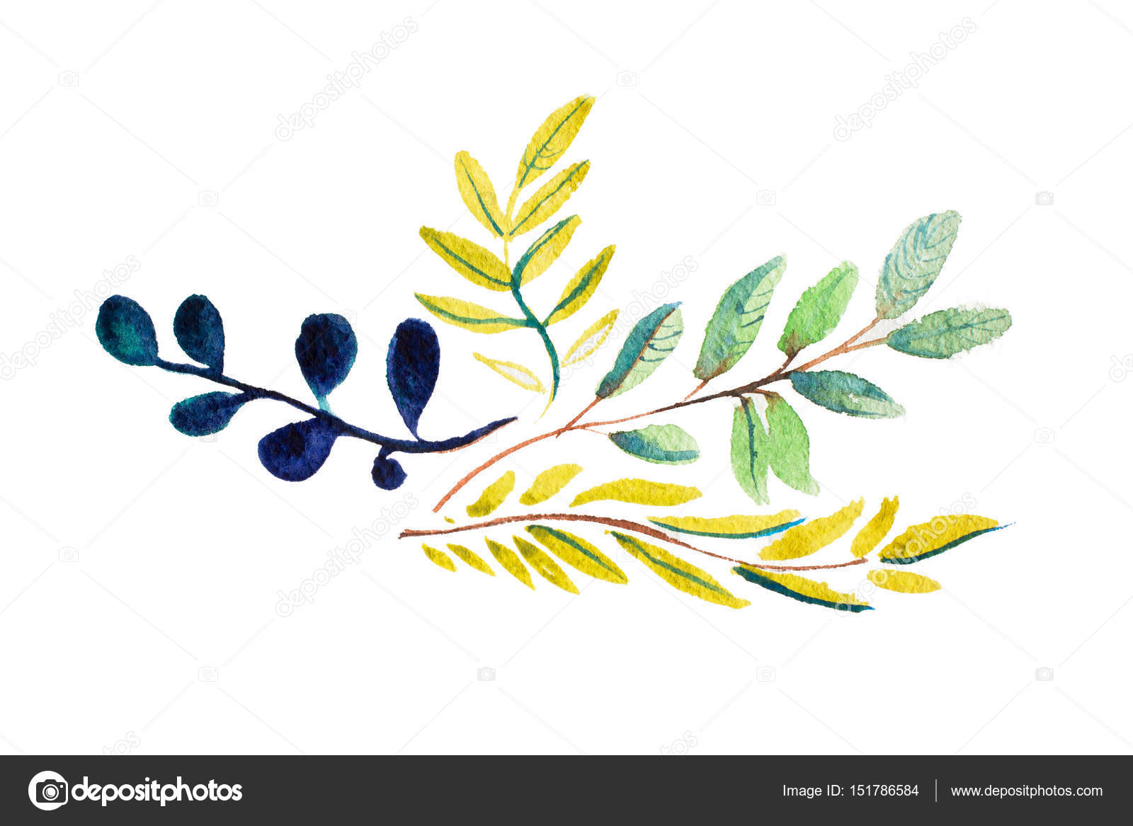 1600x1167 Watercolor Drawing Of Fresh Garden Flowers Stock Photo Undrey