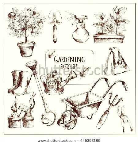 450x470 Drawing Of Garden Tools Realistic Drawings Of Plants And Gardens