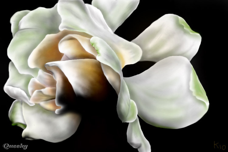 750x500 Gardenia A Plants Speedpaint Drawing By Katkat