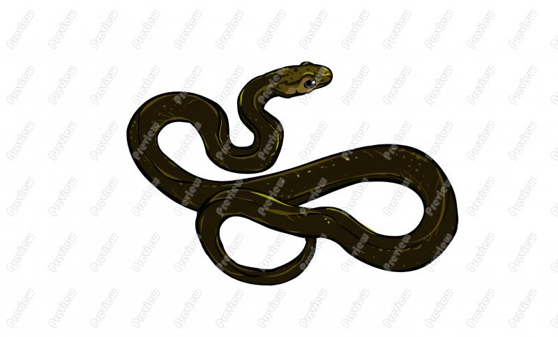 800x483 Garter Snake Character Clip Art