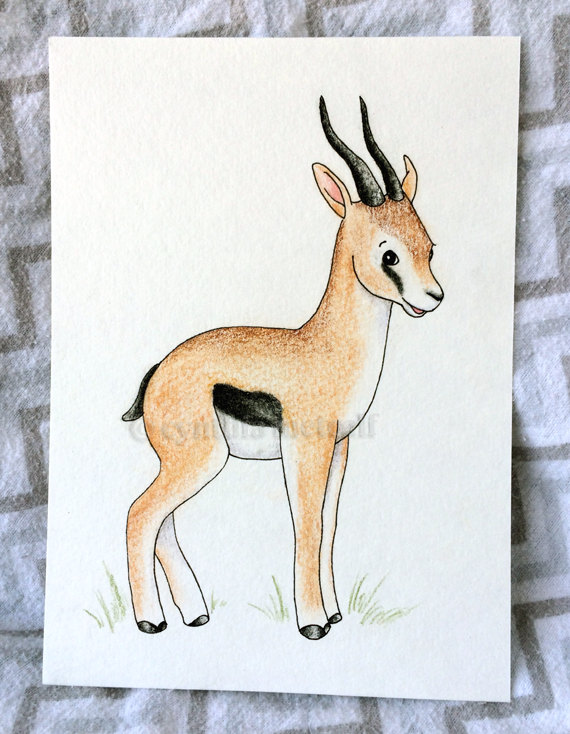 570x734 Items Similar To Gazelle Nursery Original Drawing Art, Safari