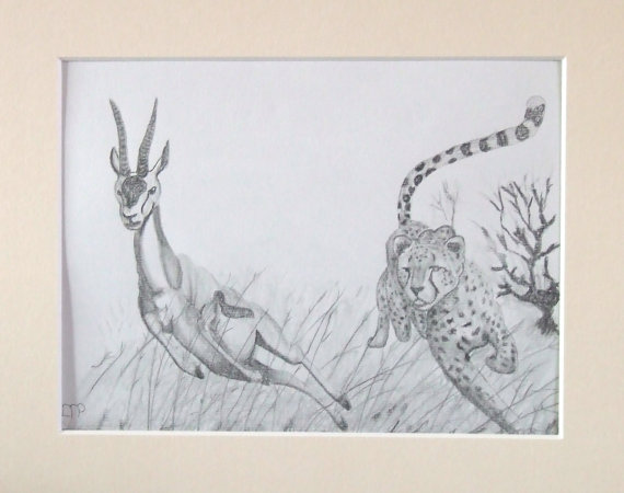 570x450 Items Similar To Wildlife Drawing, Cheetah Chasing A Gazelle