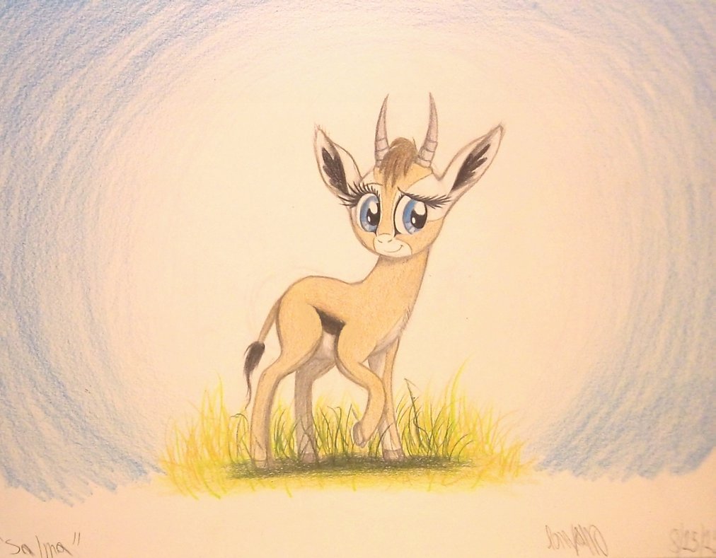 1012x789 Salma The Thomson's Gazelle By Thefriendlyelephant