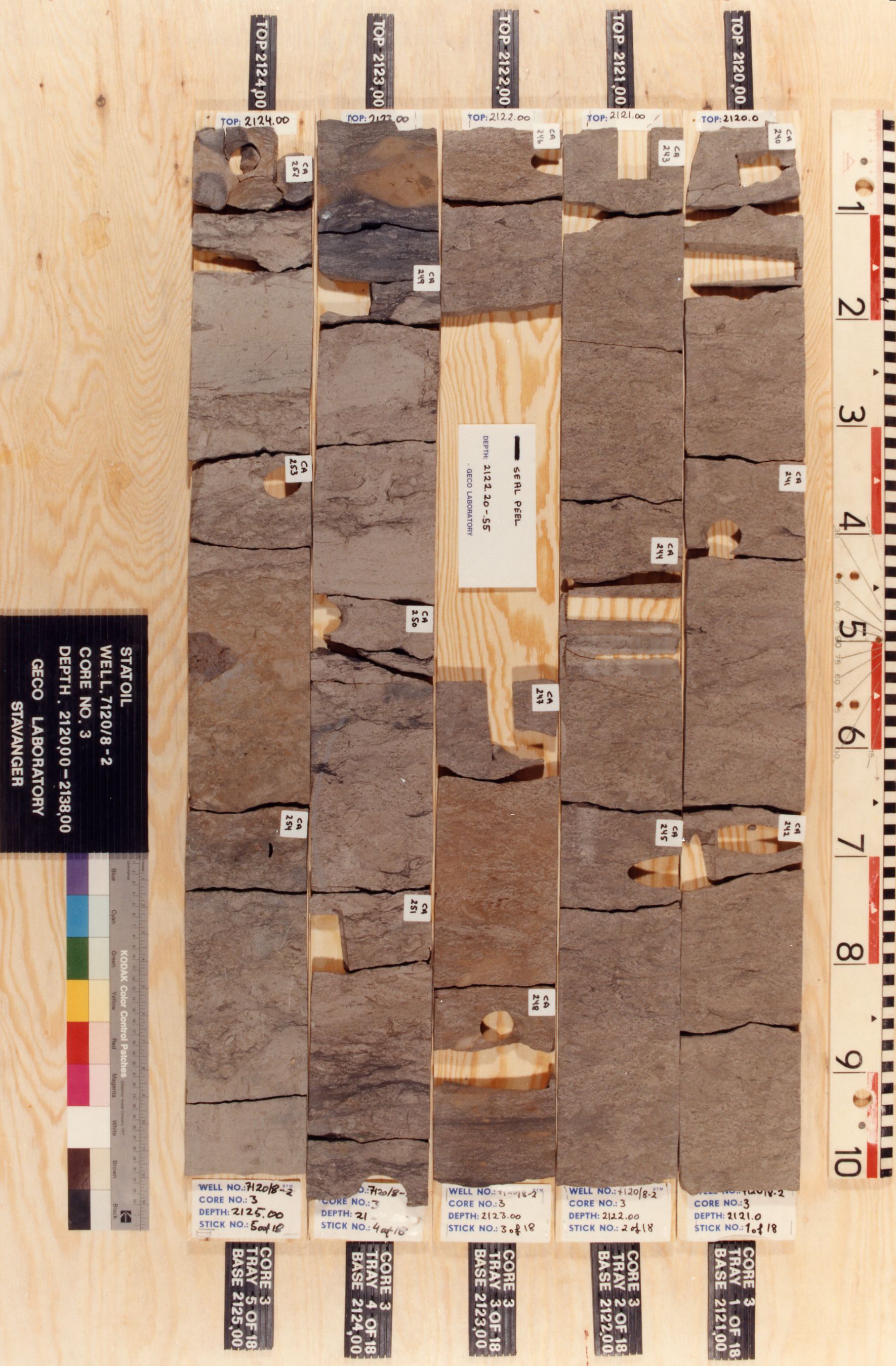 1770x2698 Wellbore Exploration