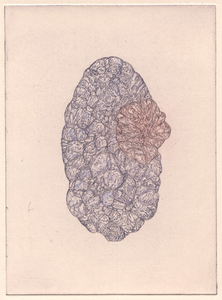 455x615 Geology Drawing From The Rock Room