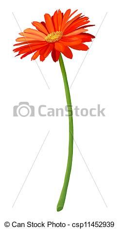 245x470 Fresh Gerbera Flowers