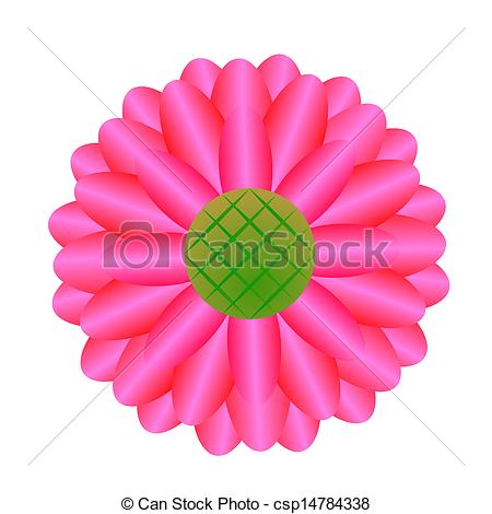 450x470 Beautiful Pink Gerbera Daisy Drawings