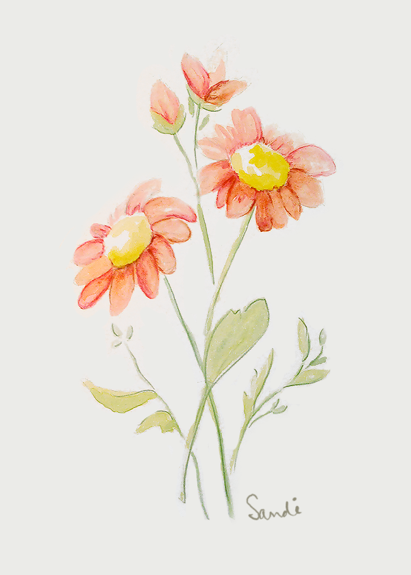 600x840 Gorgeous. With Coral Such An In Color This Year, I Think I Shall