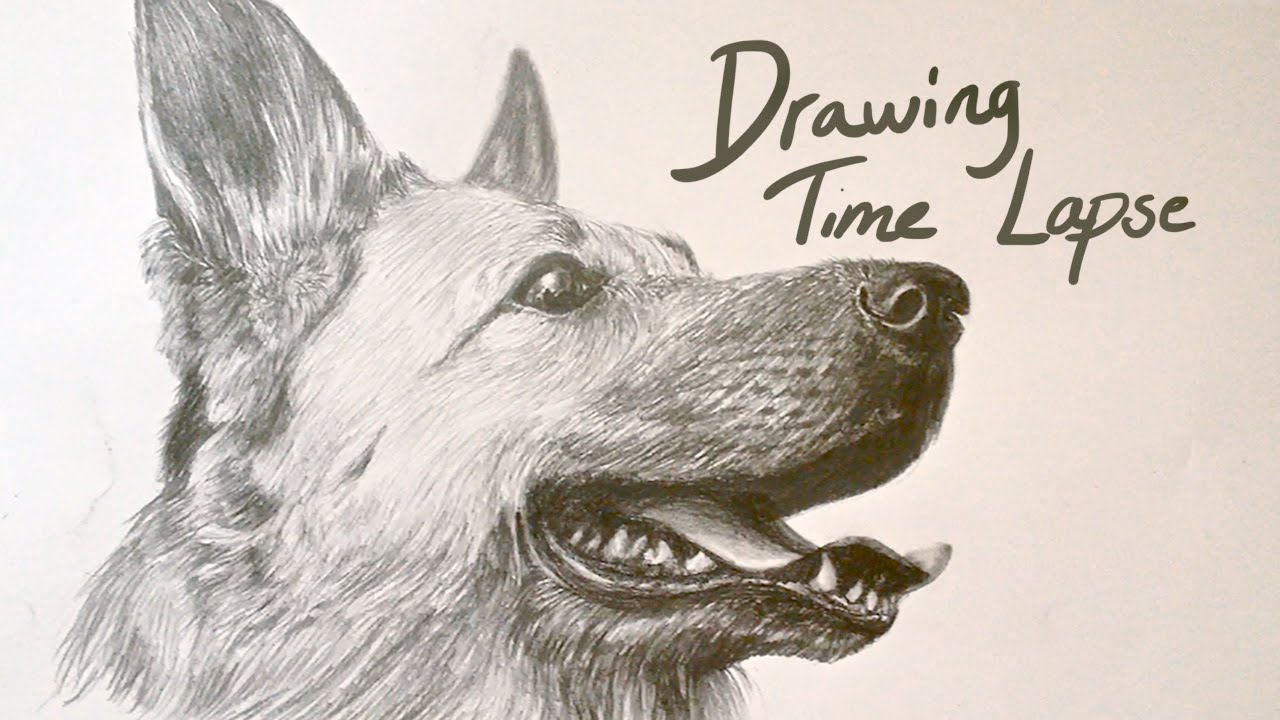 1280x720 Drawing Time Lapse