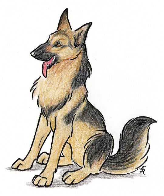 540x648 Happy German Shepherd By Wildspiritwolf