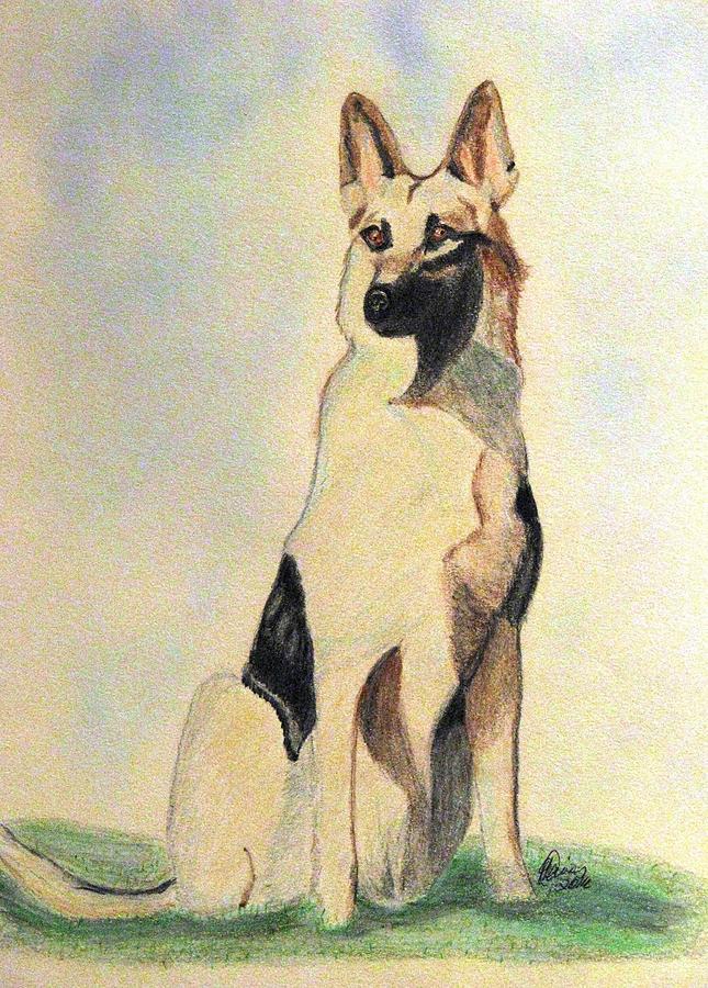 645x900 The German Shepherd Friend For Life Drawing By Angela Davies