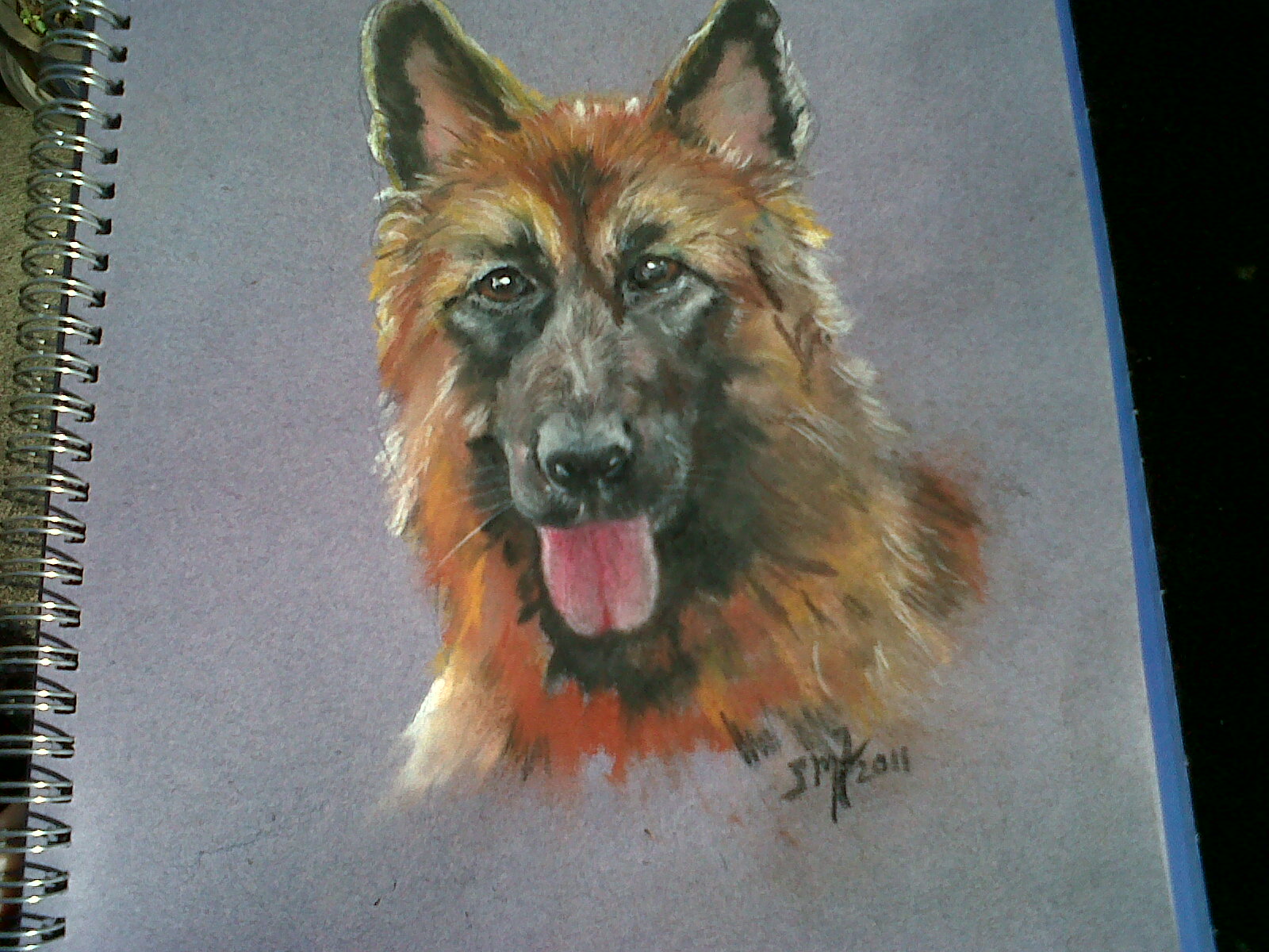 German Shepherd Dog Drawing at GetDrawings.com Free for 