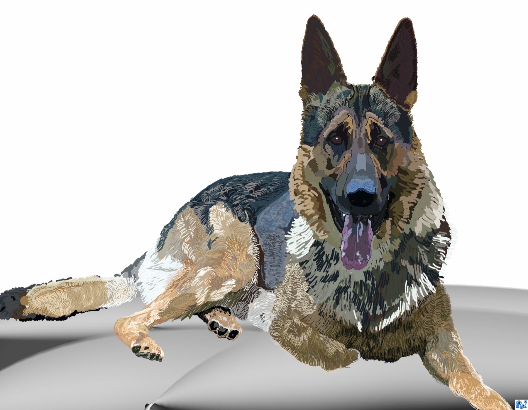 1800x1400 German Shepherd Picture, By Vosya For Dogs Drawing Contest