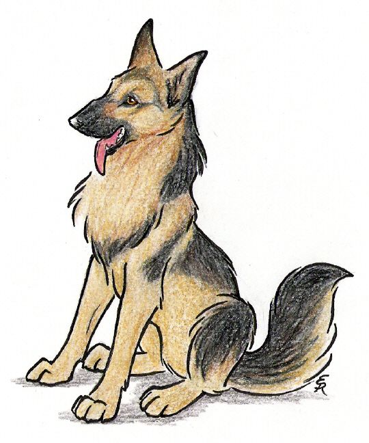 540x648 Happy German Shepherd By ~wildspiritwolf On Paintings