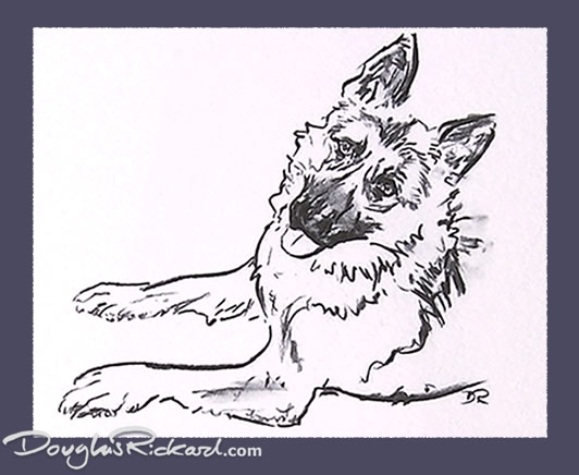 532x436 German Shepherd Drawing