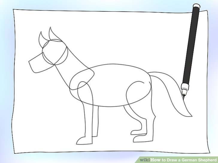 728x546 How To Draw A German Shepherd 8 Steps (With Pictures)