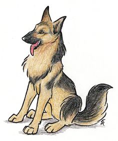 236x283 German Shepard Sketches By On @