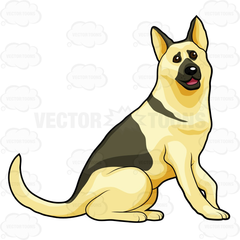 800x800 German Shepherd Sitting Down German Shepherds