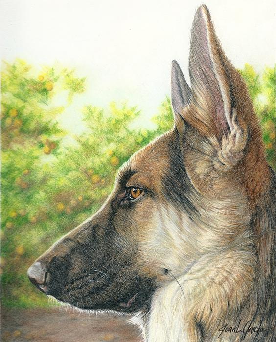 564x700 Nice Gsd Sketchart