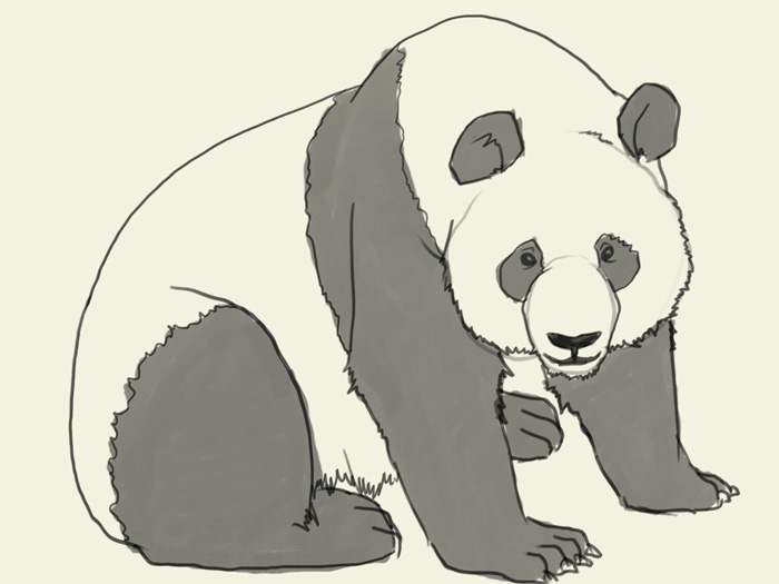 700x525 How To Draw Panda