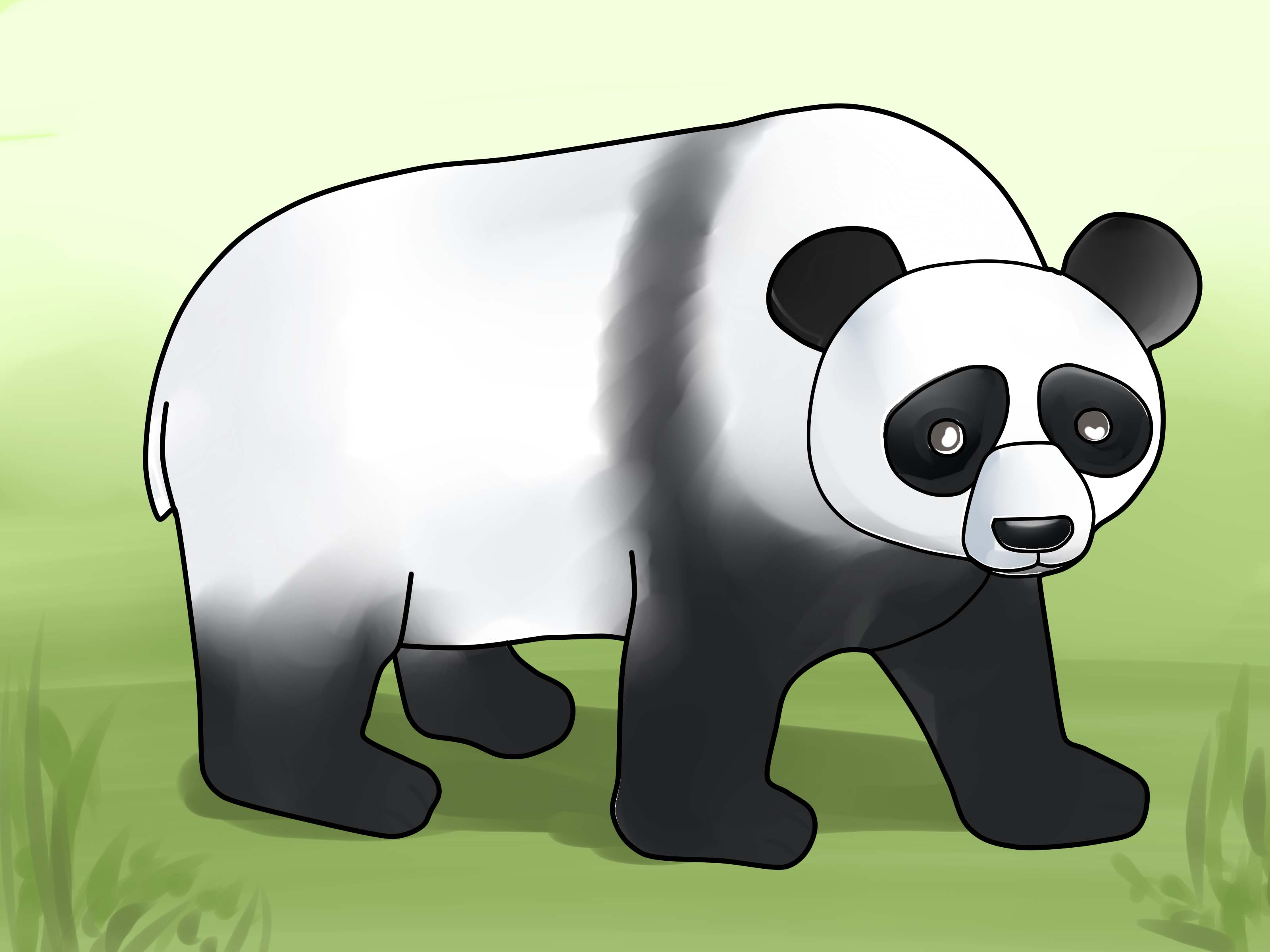 3200x2400 How To Draw A Giant Panda Step By Step