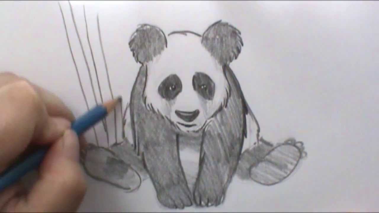 1280x720 How To Draw A Panda