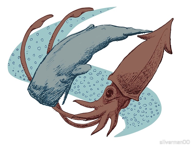 800x616 Sperm Whale Vs Giant Squid Art Prints By Silverman00 Redbubble