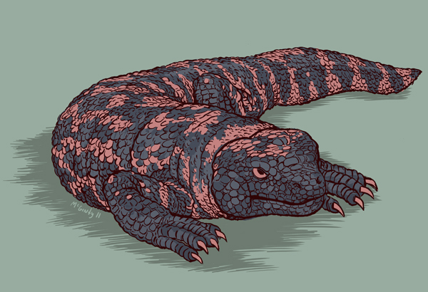 600x410 Paper Pusher Animal Alphabet G Is For Gila Monster!