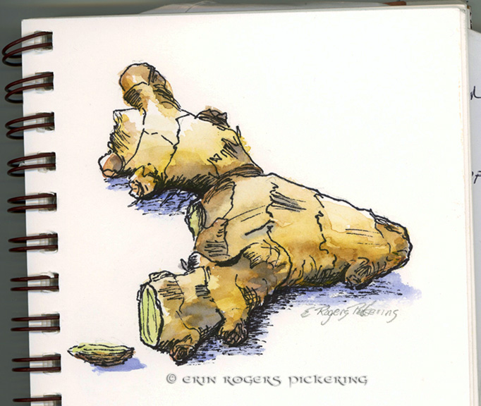 682x576 The Gluten Free Illustrator Daily Drawing