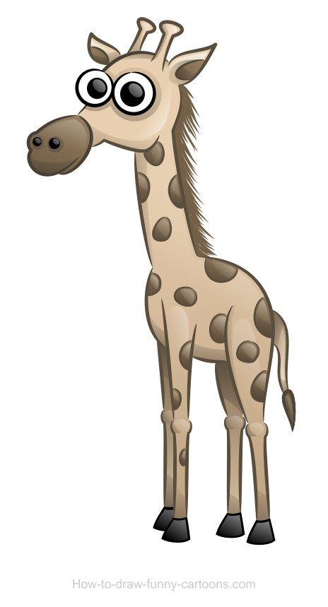464x859 Giraffe Drawing (Sketching + Vector) Cartoon Giraffe, Shorts