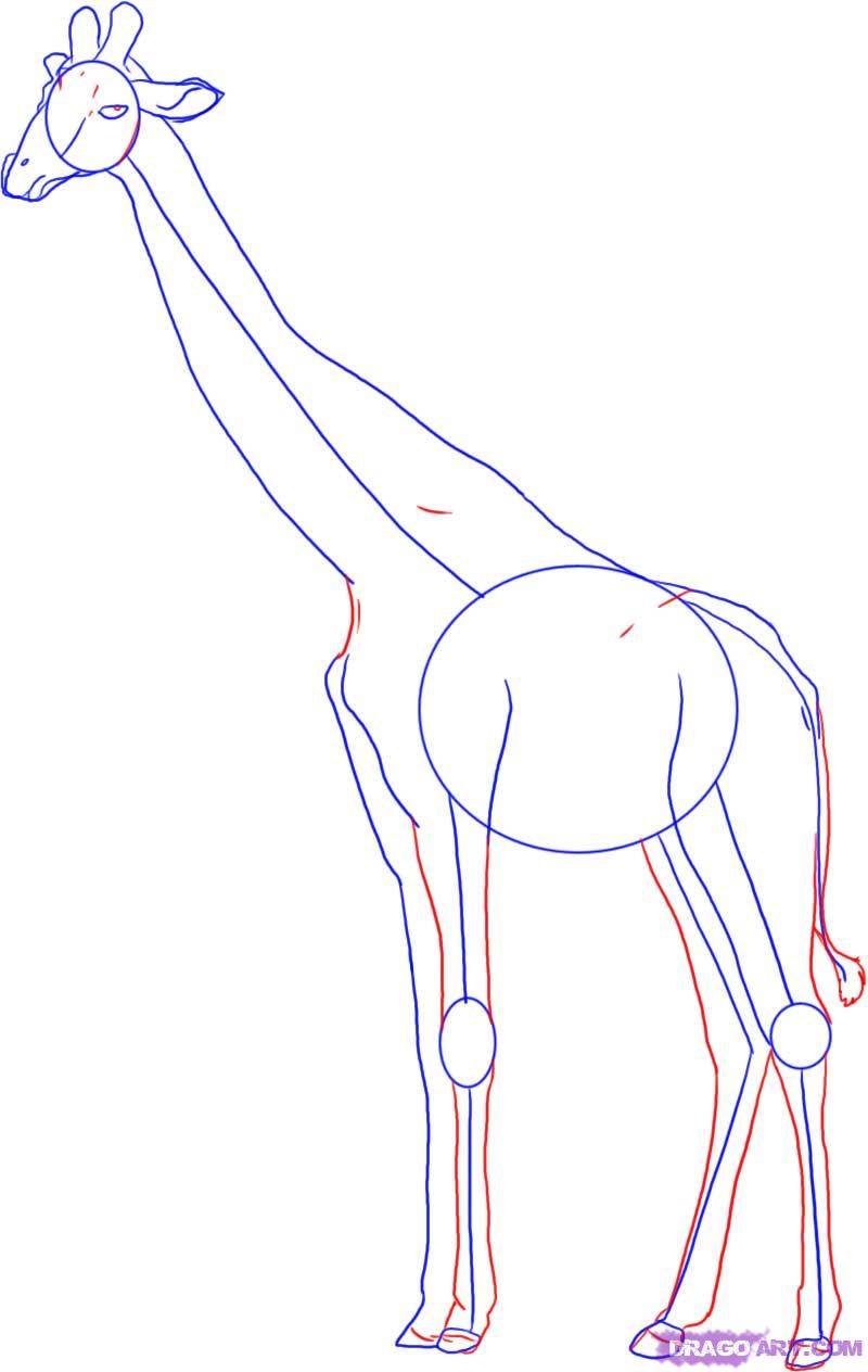 800x1264 In This Drawing Lesson We'Ll Show You How To Draw A Realistic