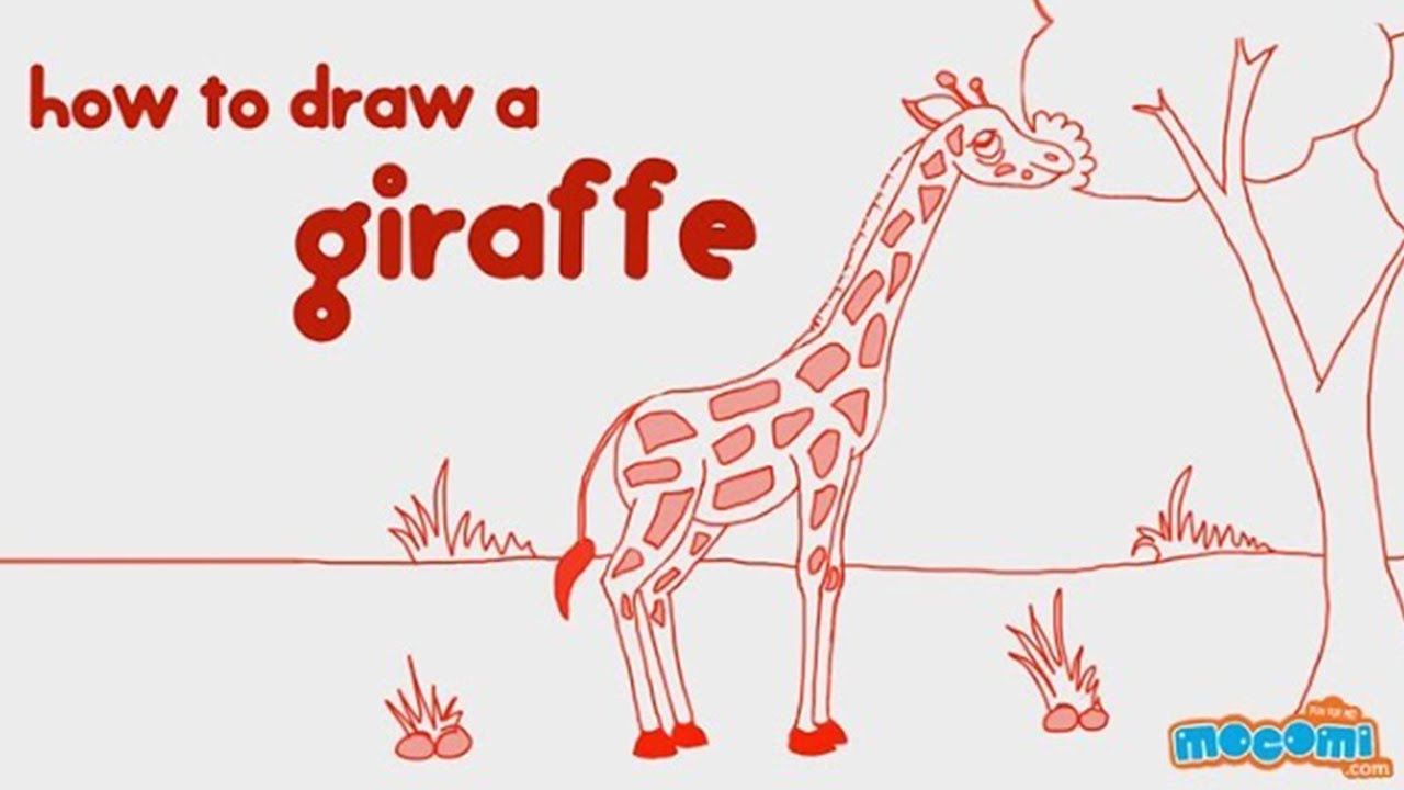 1280x720 How To Draw A Giraffe