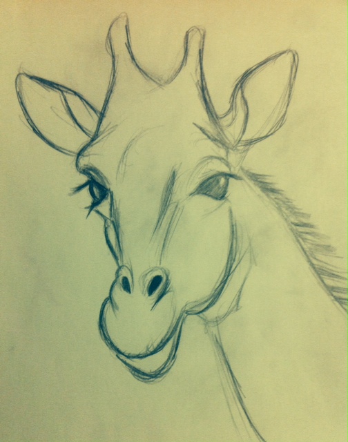 504x640 Giraffe Face Sketch By Mikesem1