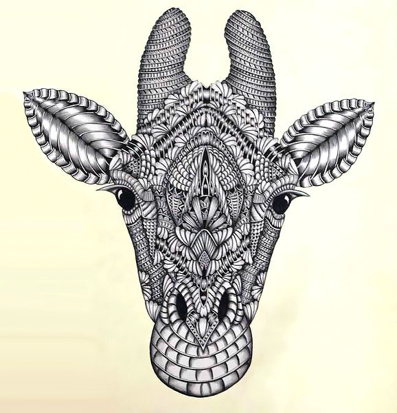 578x600 Giraffe Head Tattoo Design