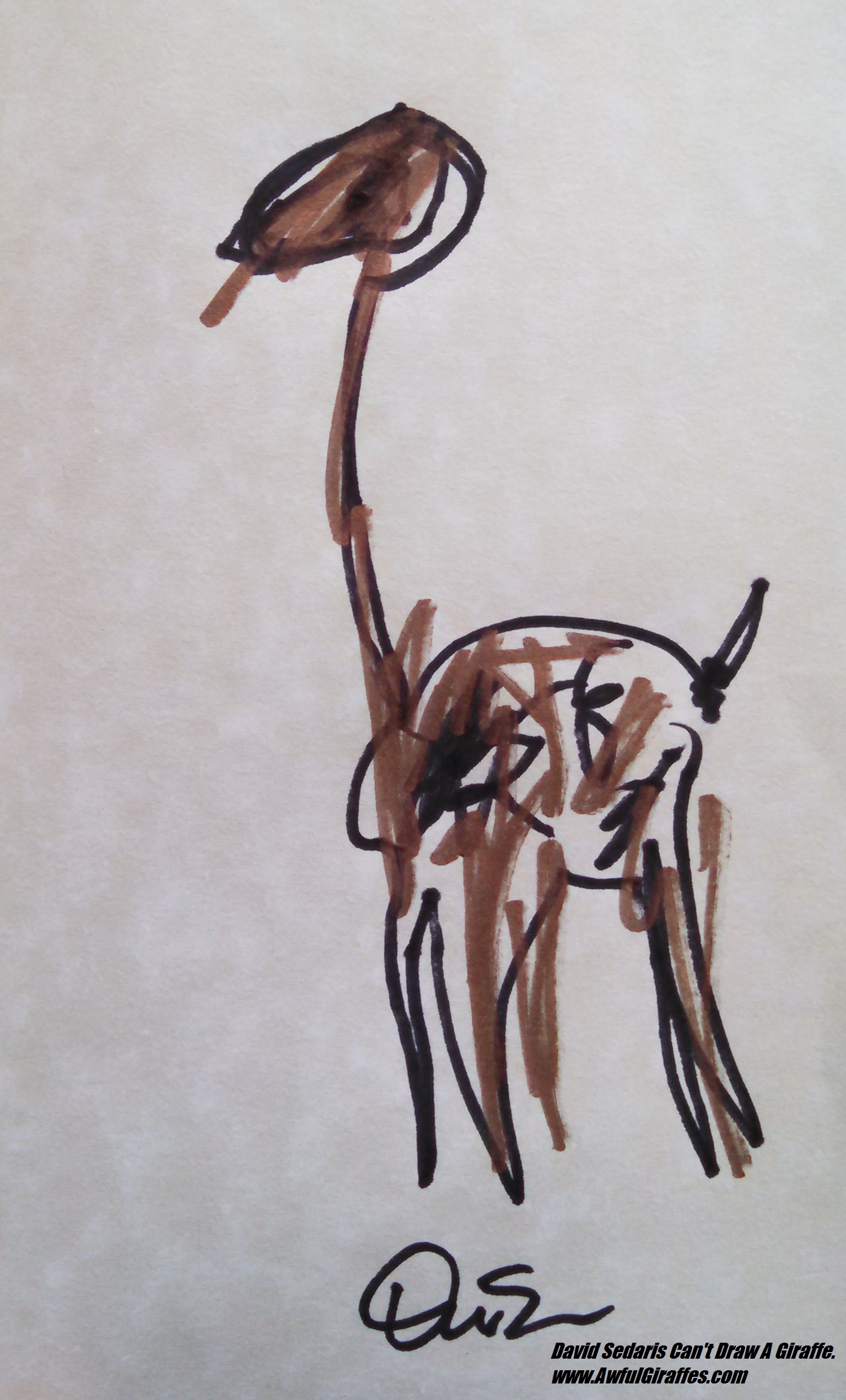 1535x2541 Drawing A Giraffe Is The Least Bizarre Thing David Sedaris' Done